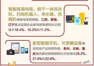 探秘春节家电热销区域——为何这些地方很火？
